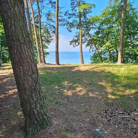 Zurawzdory 107 Zdory