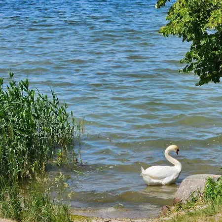 Casa vacanze Zurawzdory 107 *