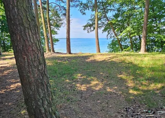 Zurawzdory 107 Zdory