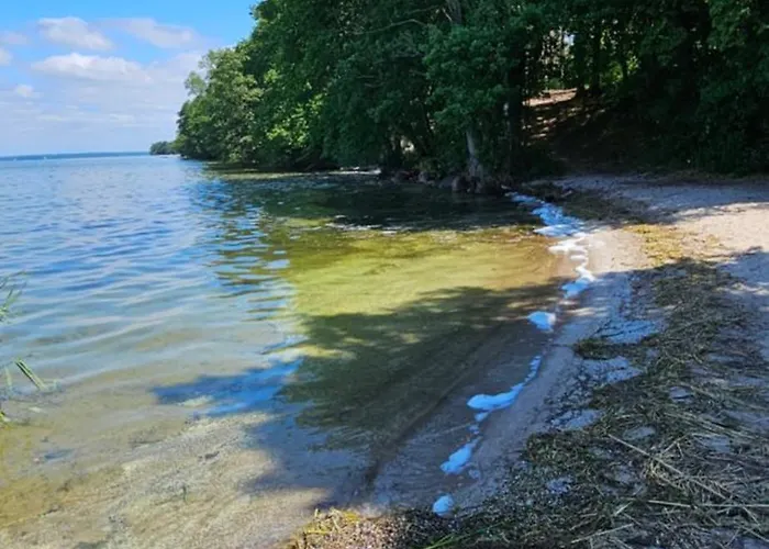 Zurawzdory 107 Zdory