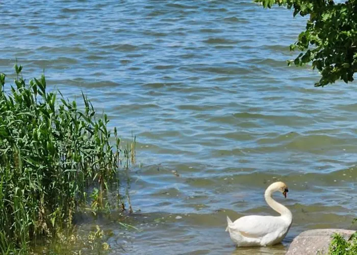 Holiday home Zurawzdory 107 *